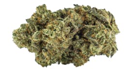 Qwest - Sour Strawberry x Trophy Wife - 3.5g (Sativa)