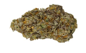Qwest - TKO (Trophy Wife x Platinum Punch) - 3.5g (Hybrid)