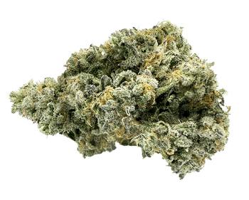 CELEBRITY - Raptors Rntz (Animal Mints x Rntz) - 3.5g (Indica)