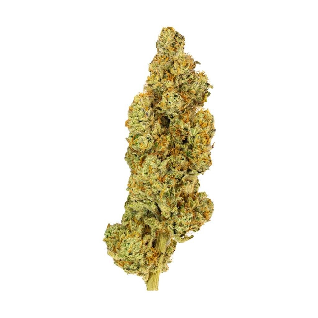 Concept Herbo - Broughton Grass (Chem 91 Bx1 x GMO) - 3.5g (Indica)