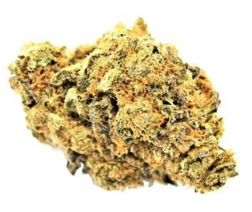 Pure Life Cannabis Corp. - Orange Jet Fuel (Orange Cookies x Jet Fuel Gelato) - 7g (Sativa)