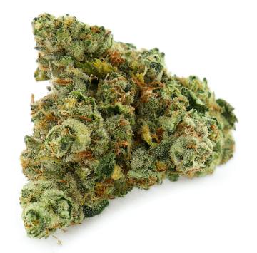 Pharmhill - Universe Cannabis: Blue Milk (Blueberry x Haze) - 7g (Sativa)