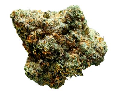 OUEST - Gelatti Kush (Gelatti x Kush Mints) - 7g (Sativa)