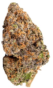 Sheeesh! Everyday - Dia De Los Muertos (Motorbreath x Project 4516) - 7g (Indica)