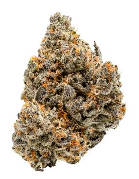 Craft Bangers - Pablo's Revenge (Animal Mints x Sherbert Cake) - 7g (Indica)