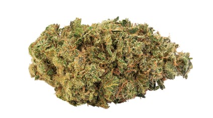 Laurentian Organic - Saisons (Rotating Strains) - 3.5g (Hybrid)