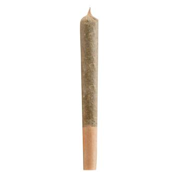 Citizen Stash - Infused Blueberry Kola + CBG Pre-Roll - 1x1g