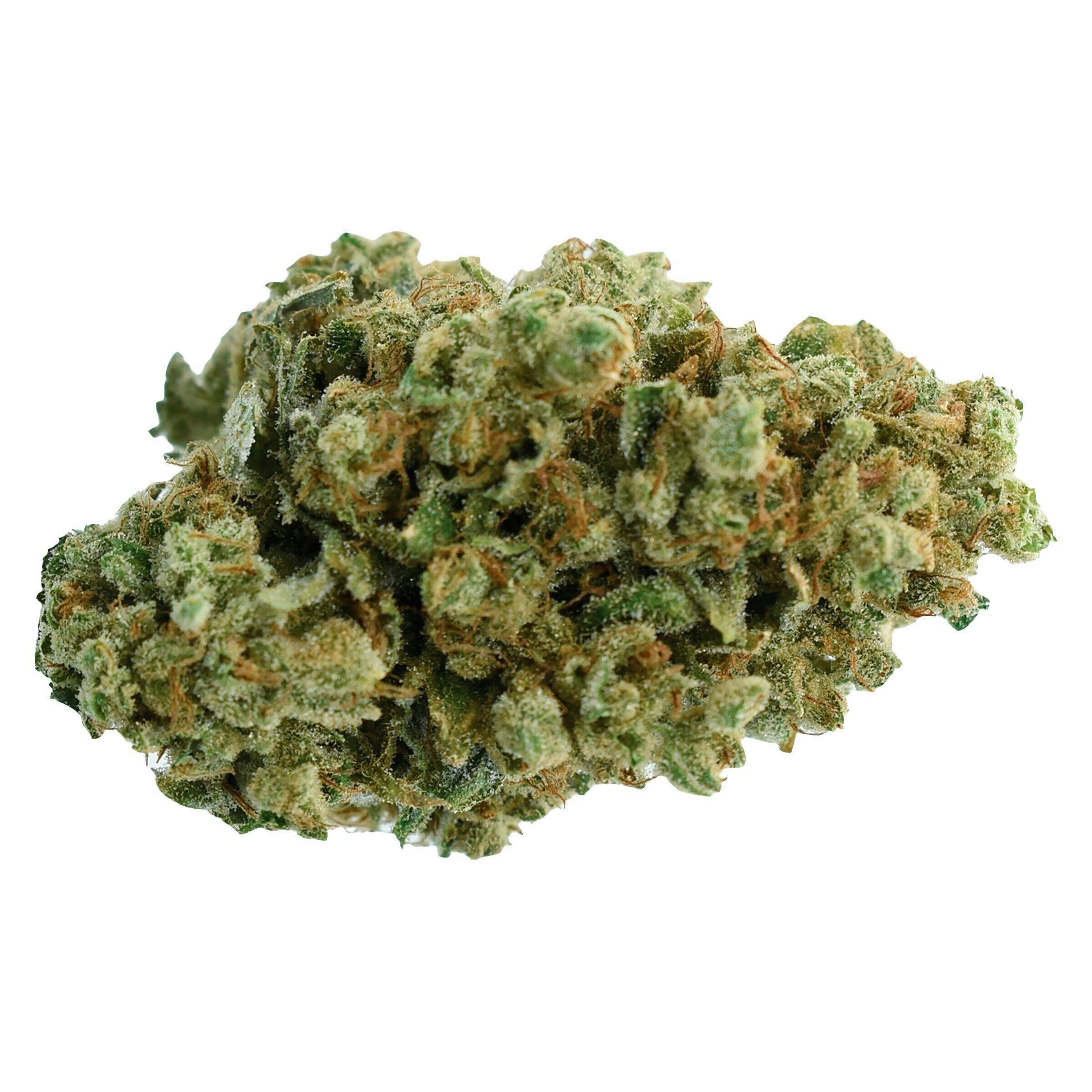 COLOR CANNABIS Pedro's Sweet Sativa - 7G