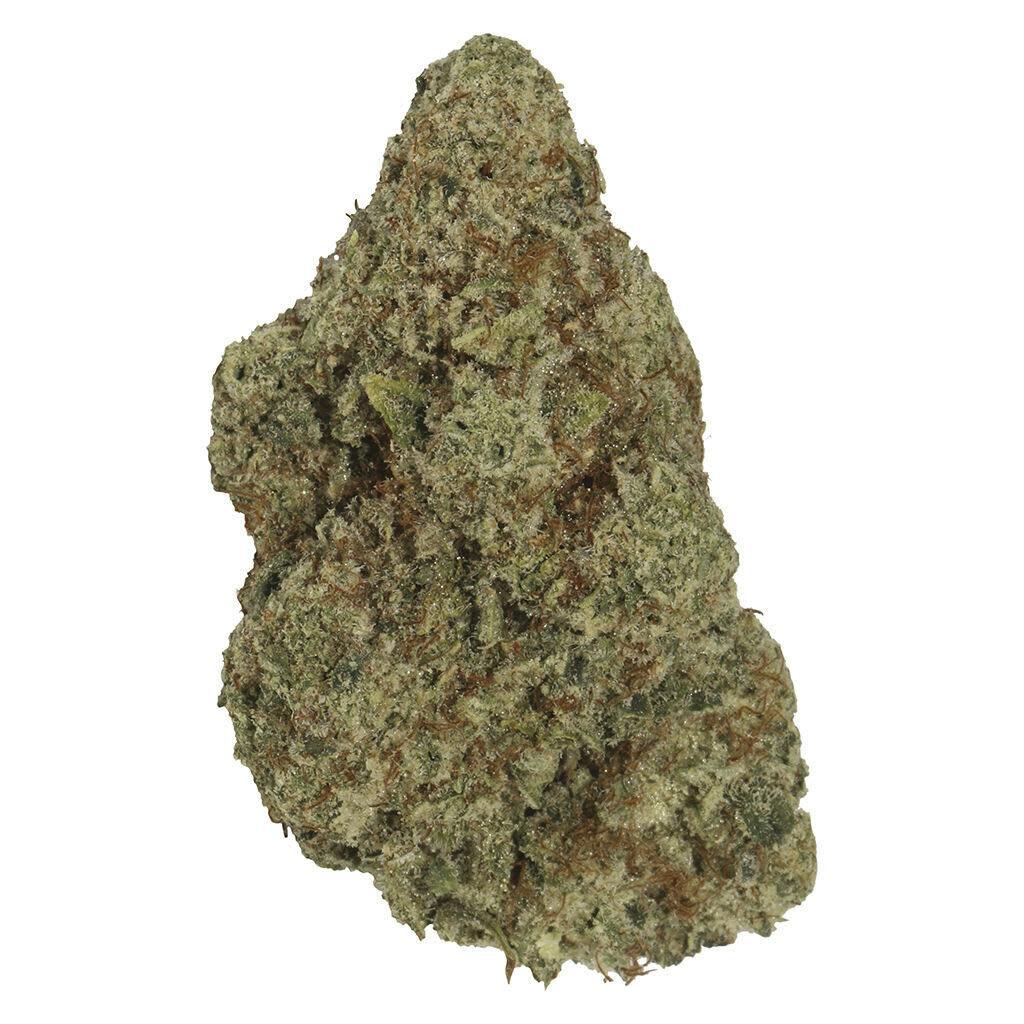 CARMEL Big Apple - 7G