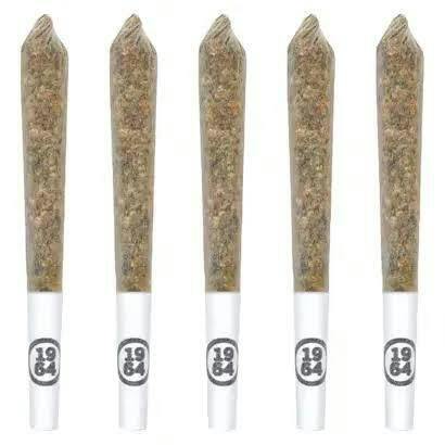 1964 Blue Dream Pre-Rolls - 5x0.5G