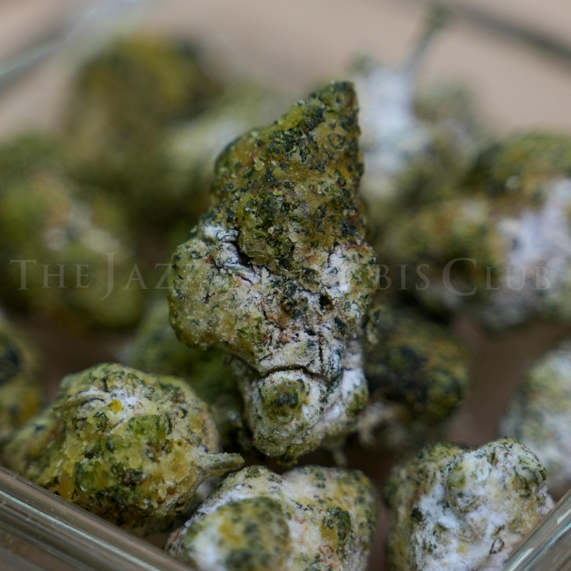 Grape | Snow Caps Infused Ground Flower | 3.5g