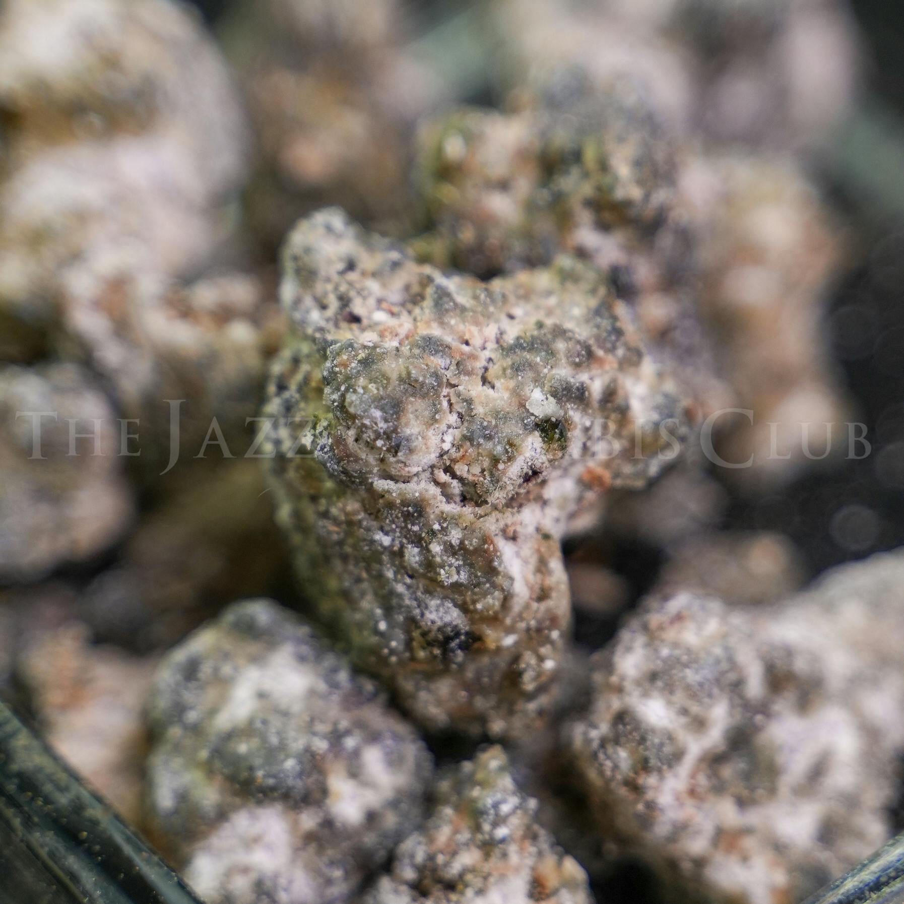 LA Pop Rocks Snowcaps - Infused Flower (D)