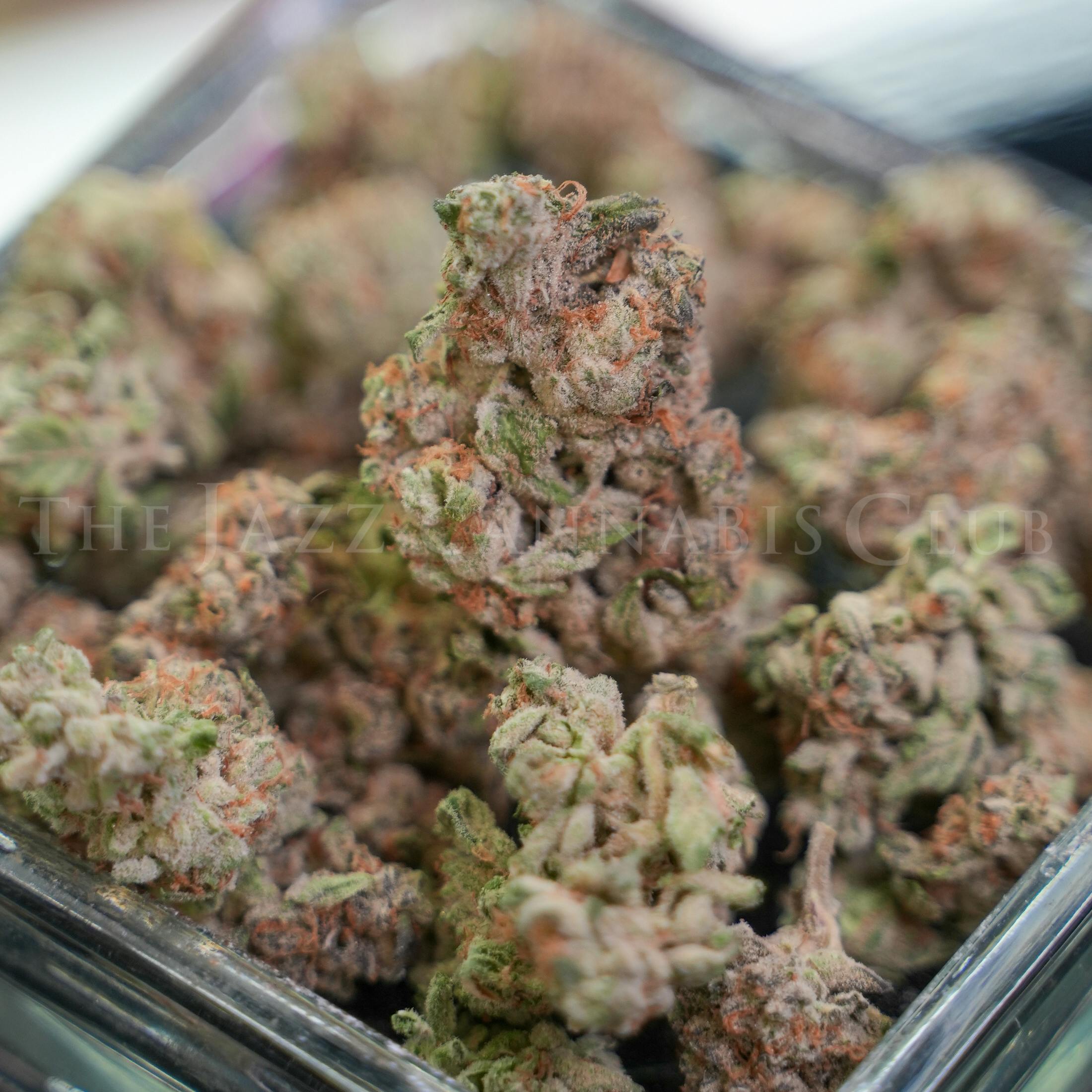 Fresh Canna - Blue Cheese - Bulk Flower (D)