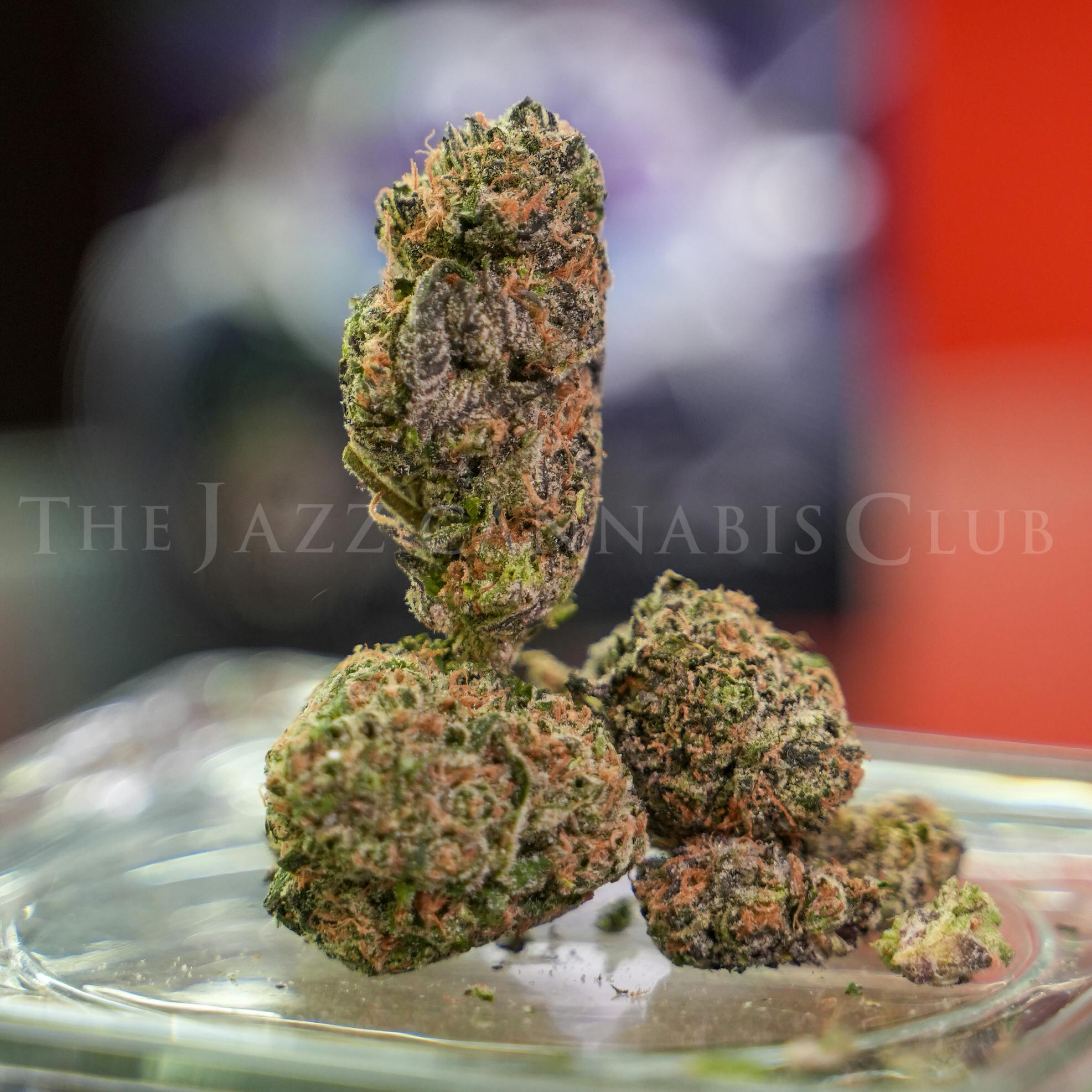 Apex- Purple Dreamz Pre Packed