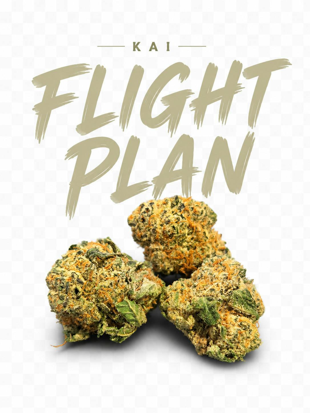 KAI | Flight Plan | DELI