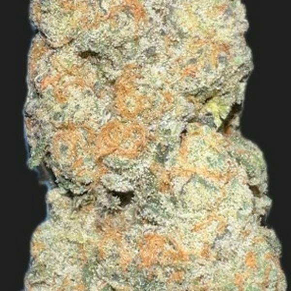 SL Peanut Butter Breath H