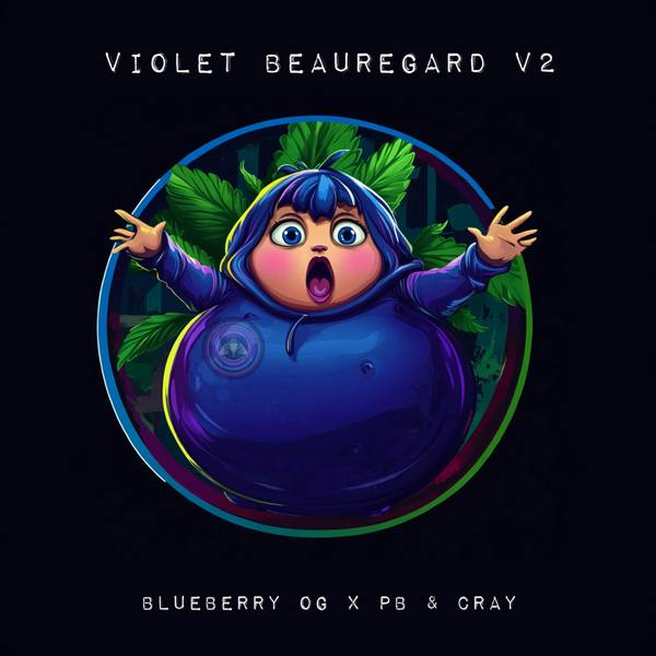 SM Violet Beaurgard I/H at Arcane Enterprises