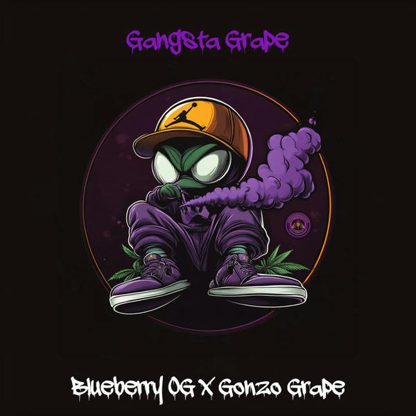 SM Gangsta Grape Pr H at Arcane Enterprises