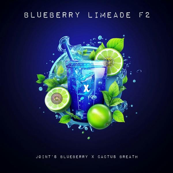 SM Blueberry Limeade H