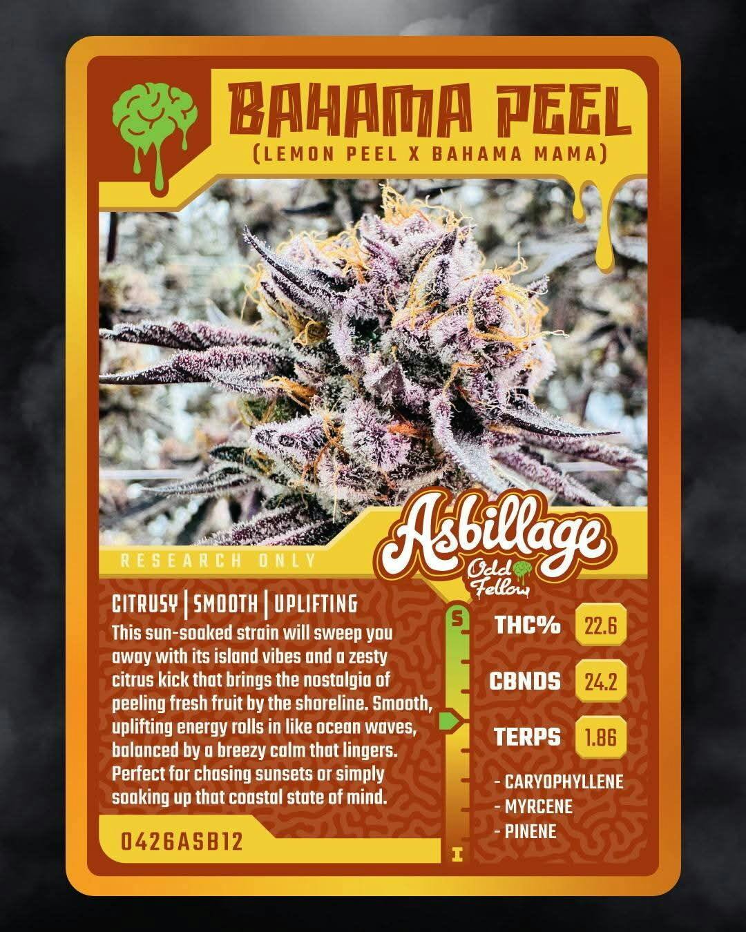 OF Bahama Peel S/H