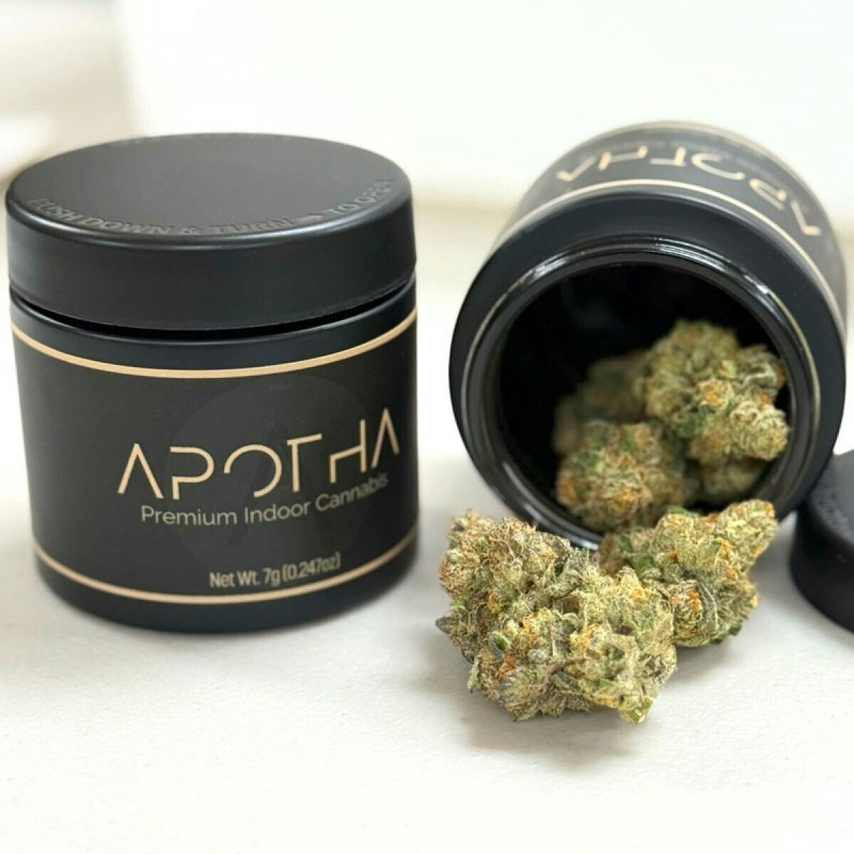 Apotha Tree Flip H