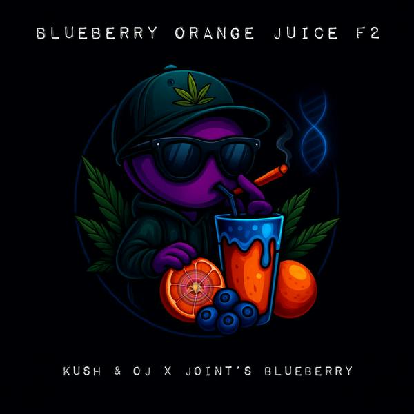Sm Blueberry Orange Juice