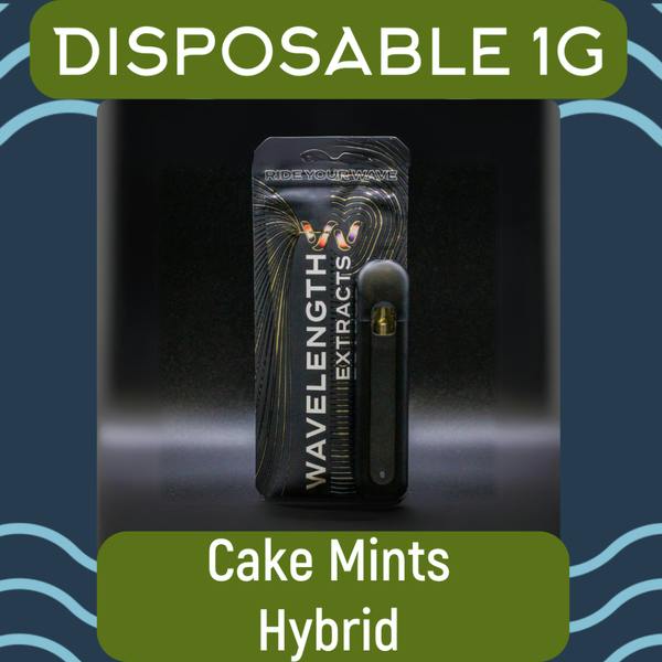RR Wavelength Cake Mints Dispo 1g at Arcane Enterprises