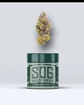 SOG Pineapple Mimosa 7g S