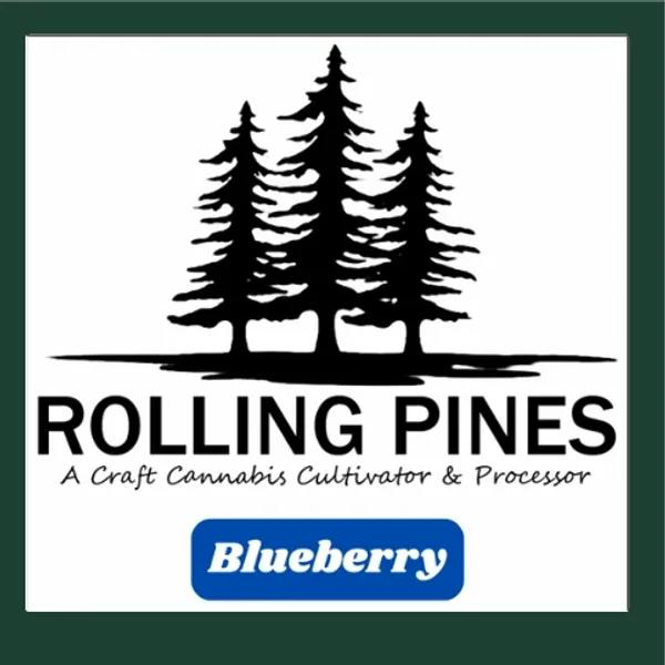RP Blue Raspberry Resin Hard Candy 500mg