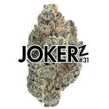 Jointz - Pre-Roll - Jokerz 31 - 1G