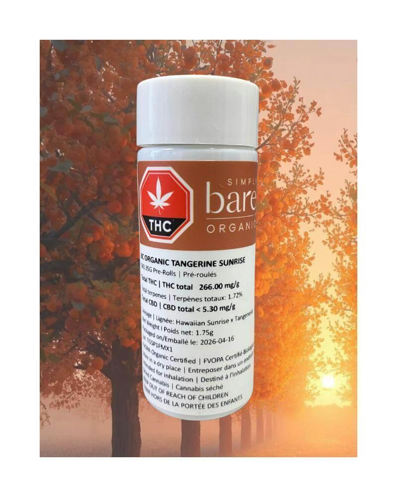 BC Organic Tangerine Sunrise Pre-Rolls | 5 x 0.35g