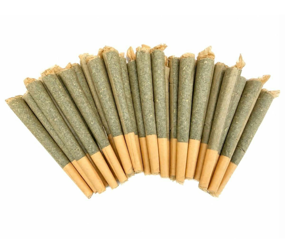 Rockstars Gsc