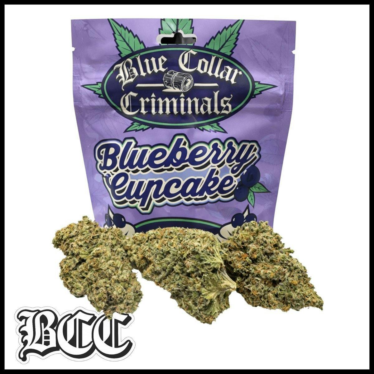 BCC Legacy 3.5g Blueberry Cupcake
