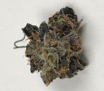 Urban Empire 14g Lemon Cherry Gelato