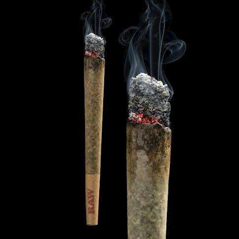 Lifted - Ztruffles Joint