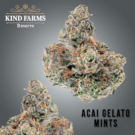 Acai Gelato Mints - KFR - 3.5g