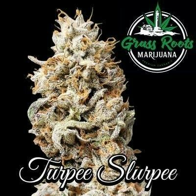 Turpee Slurpee - Grass Roots