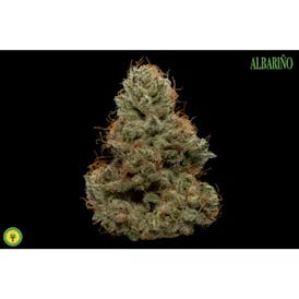 Albarino - Firefly Organics