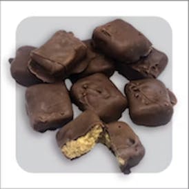 Chocolate Peanut Butter Squares 200mg - Full Bloom