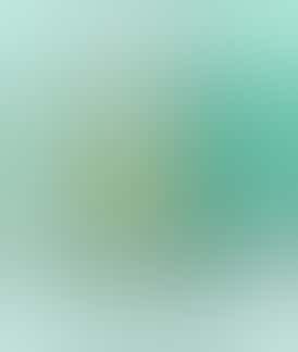 Flintts Mints (Cool Watermelon)