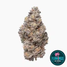 Block Party - Flamingo Fine Cannabis