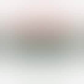 Don Mega - Rugged Roots