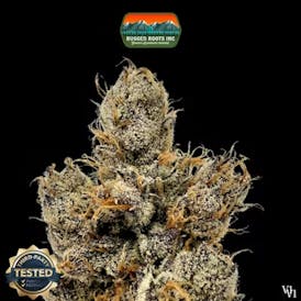Icee Runtz 1g Dime Bag - Rugged Roots