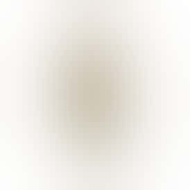 Natural Gas - Zero Gravity