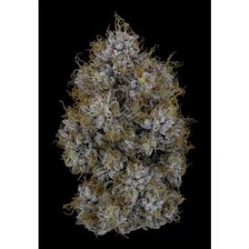 Kosher Kush - Firefly Organics