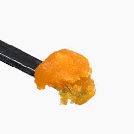 Cherry Zplash Live Badder Baller Jar (2.5g) - SeaWeed Co.