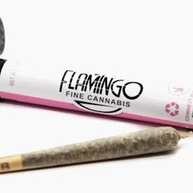 Blueberry Sugar 1g Preroll - Flamingo Fine Cannabis