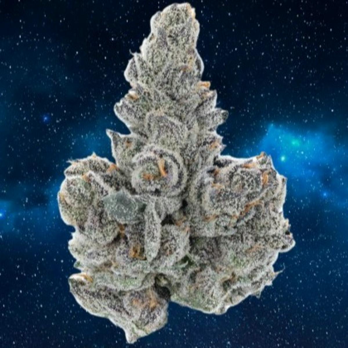 Blue Nova (7g) (SMALLS) - Zero Gravity cannabis product