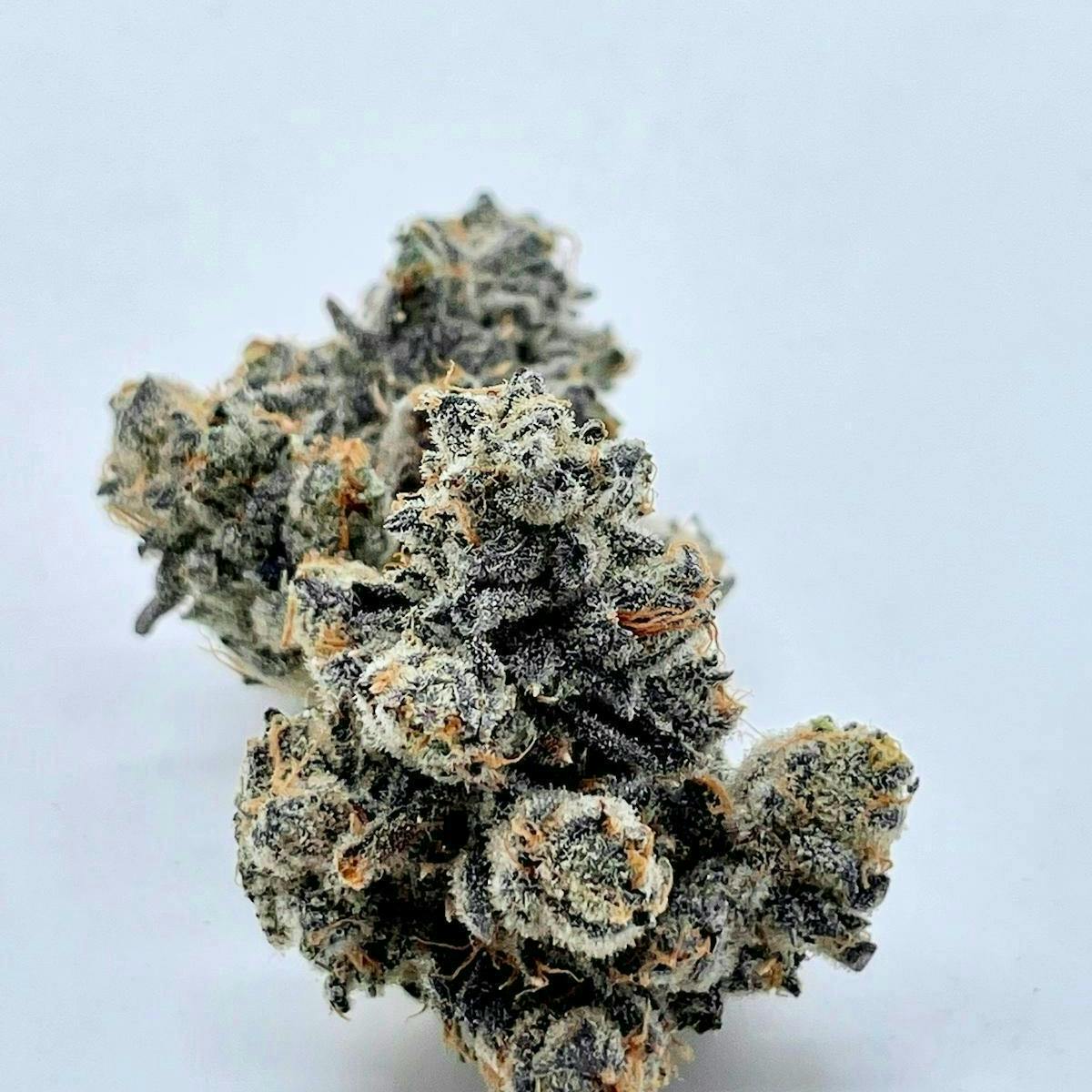 Animal Tsunami (7g) (SMALLS) - Zero Gravity cannabis product