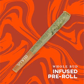 Fruit Gusherz x Florida Kush | Live Resin Oil Infused Pre-Roll 1.25g (1ct)